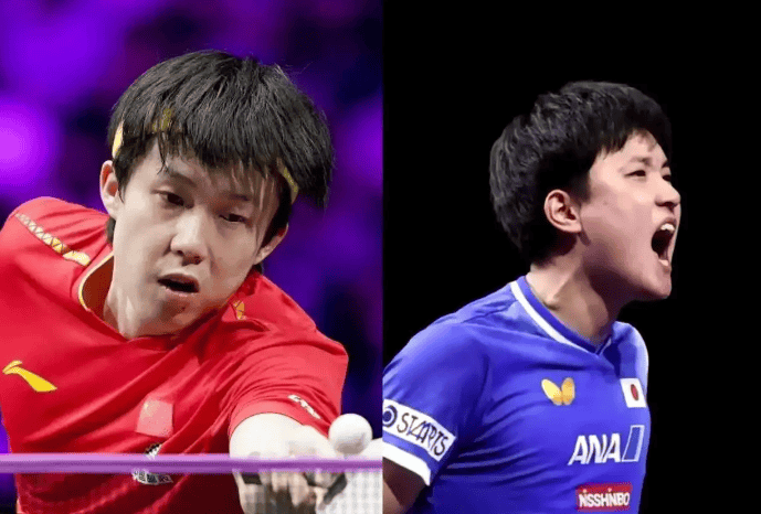 完全不一样, 看到张本智 完全不一样, 看到张本智